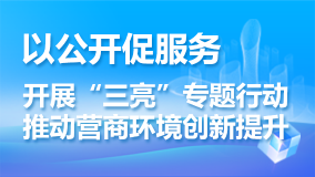 “三亮”專題行動推動營商環境創新提升